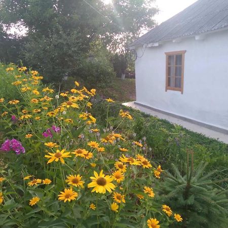 Соколине Гніздо Vila Dmitrenki Exterior foto
