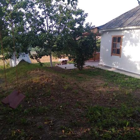 Соколине Гніздо Vila Dmitrenki Exterior foto