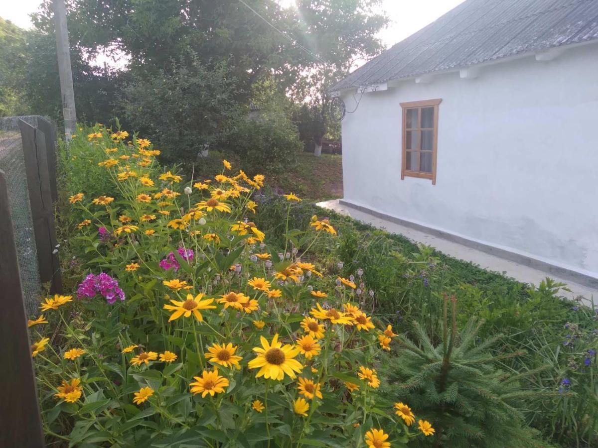 Соколине Гніздо Vila Dmitrenki Exterior foto