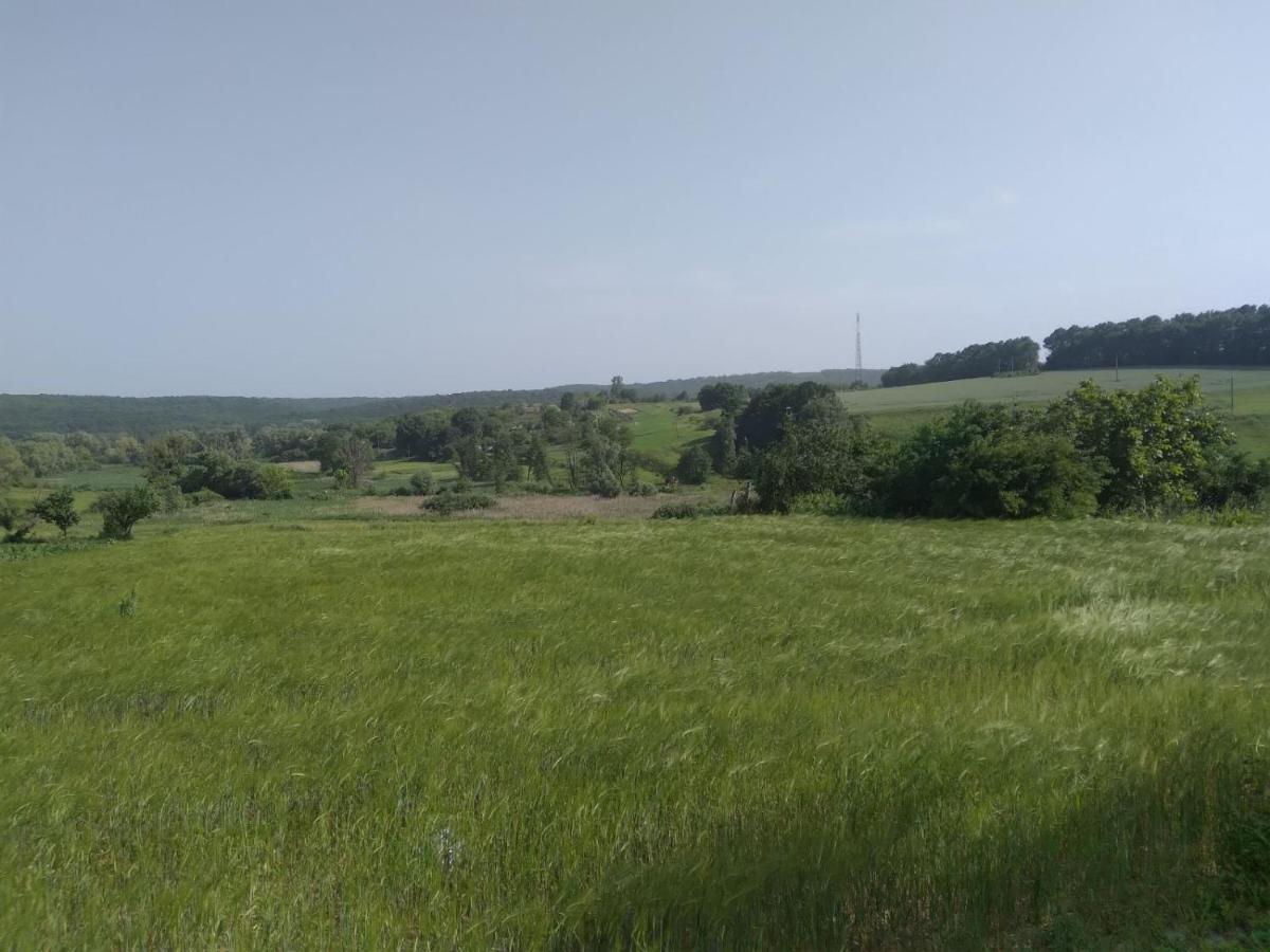 Соколине Гніздо Vila Dmitrenki Exterior foto