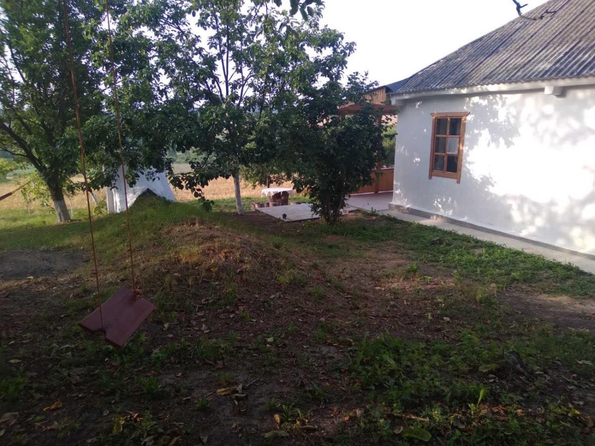 Соколине Гніздо Vila Dmitrenki Exterior foto