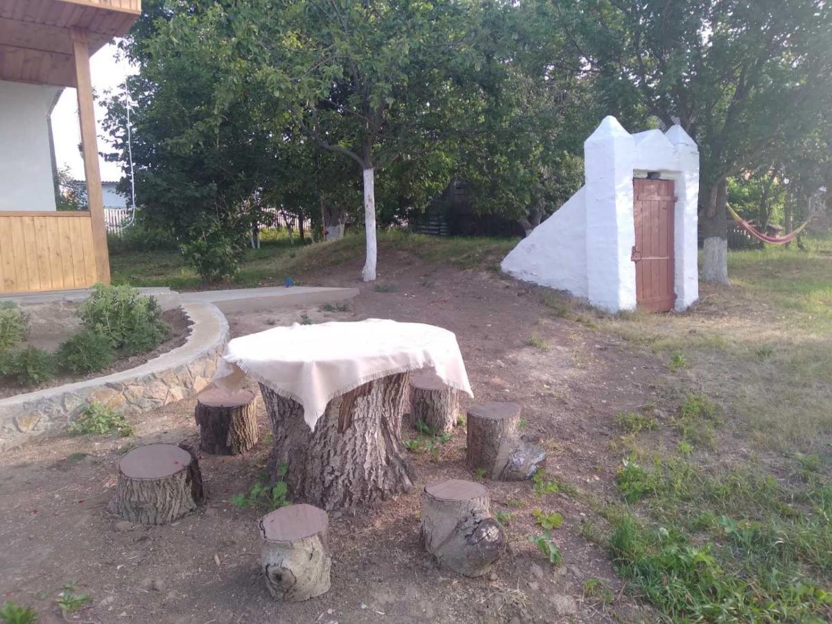 Соколине Гніздо Vila Dmitrenki Exterior foto