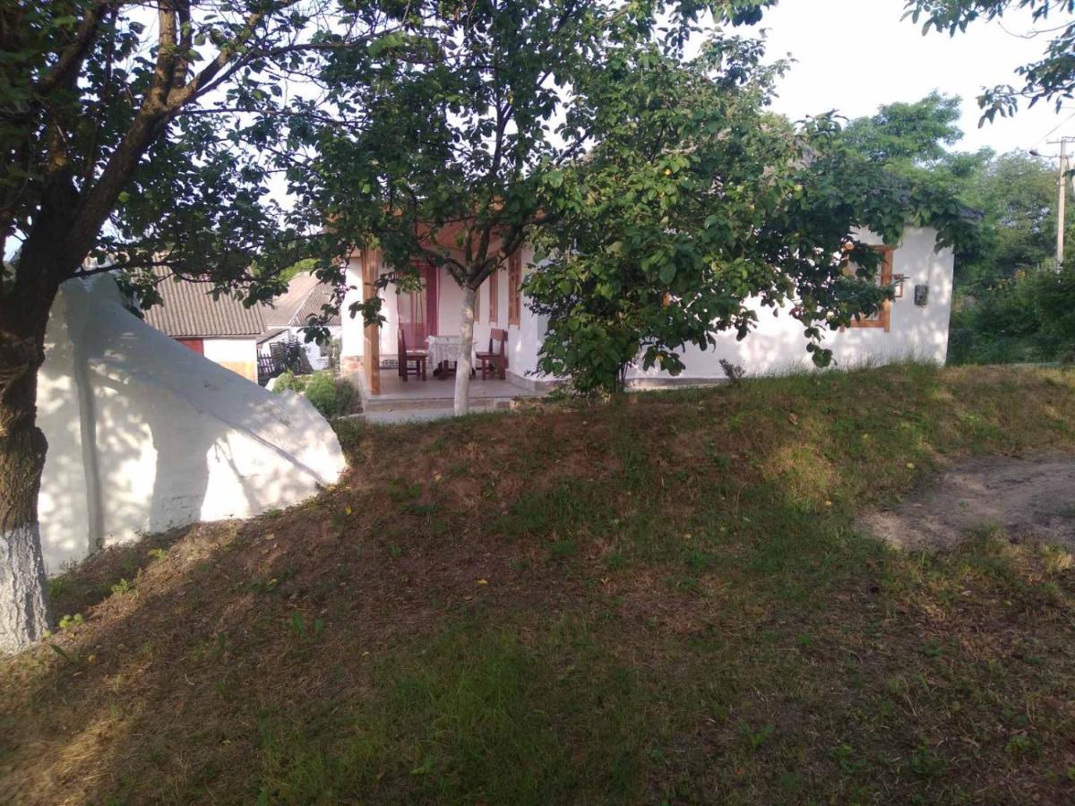 Соколине Гніздо Vila Dmitrenki Exterior foto