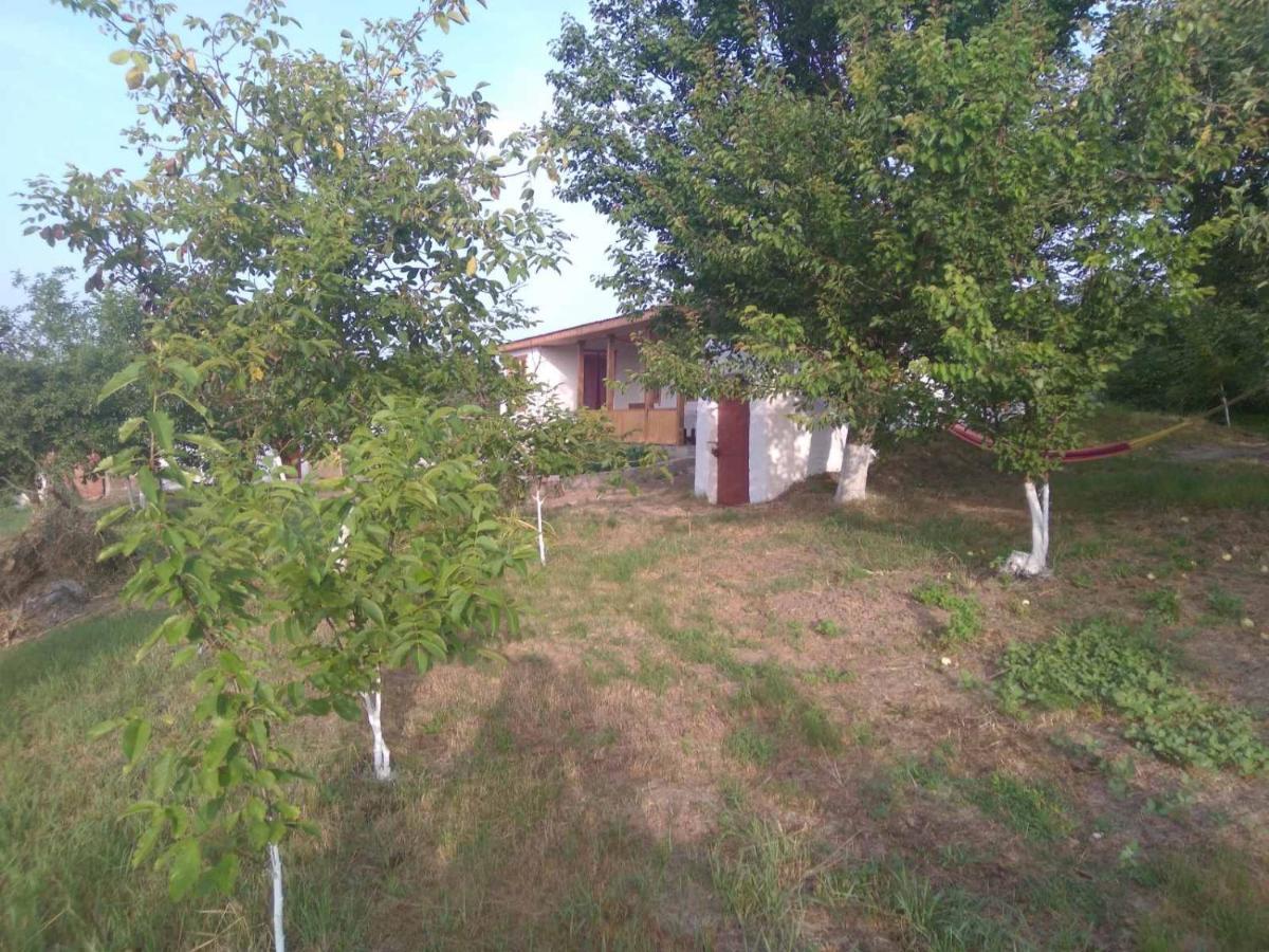 Соколине Гніздо Vila Dmitrenki Exterior foto